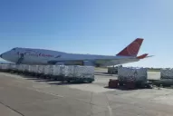 Partió hoy el primer vuelo a Europa con arándanos tucumanos