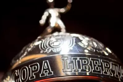 El lunes se confirmará si es que Atlético jugará la Copa Libertadores