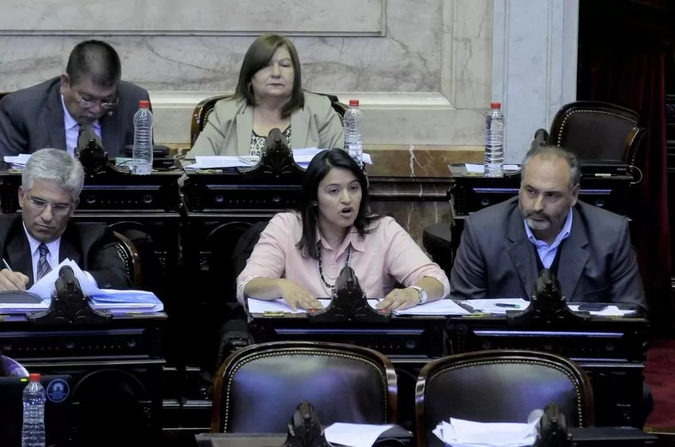 EN DEFENSA. “Hubo información falaz”, dijo la radical Teresita Villavicencio; Casañas había justificado la suba. Dyn