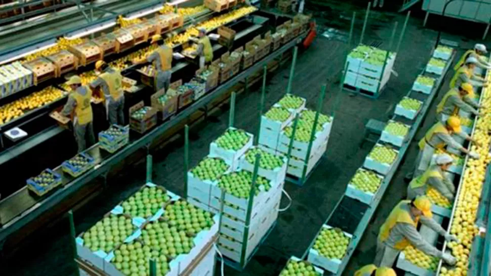 Manzur confía en poder vender los limones tucumanos