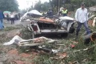 Se cayó un centenario árbol sobre un transporte escolar y sobre una moto: un niño muerto