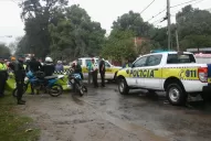 Hace un mes, otro árbol aplastó un auto en Yerba Buena