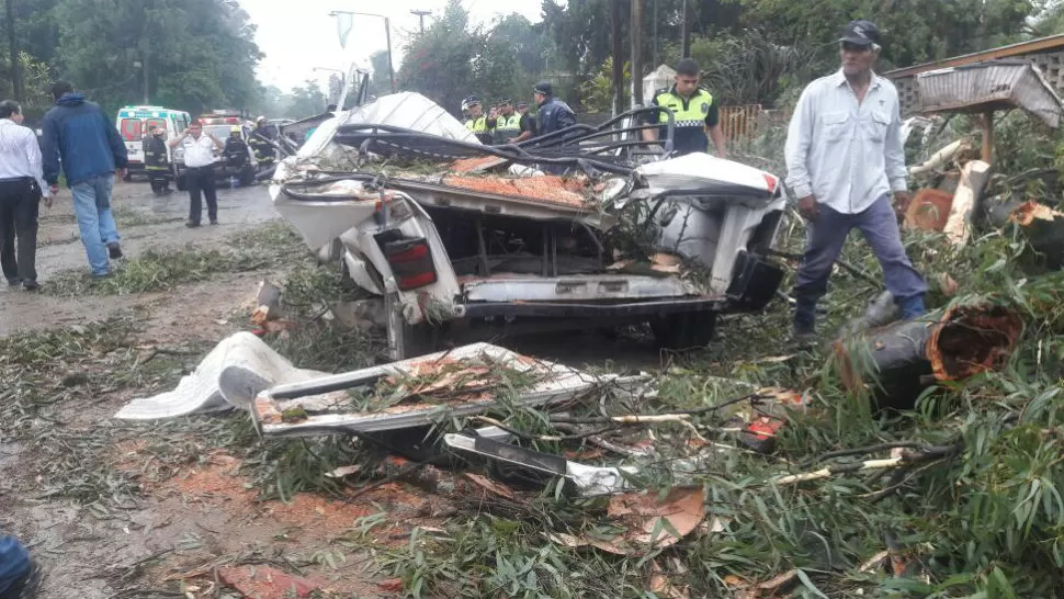 Se cayó un centenario árbol sobre un transporte escolar y sobre una moto: un niño muerto