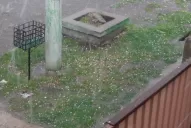 Fotos y videos de la tormenta con granizo en Tucumán, según las redes sociales