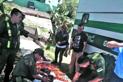 Ocultaban la droga en ajíes para despistar a perros antinarcóticos