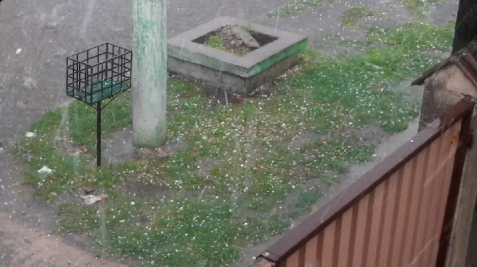 PASTO CON LUNARES. El granizo se acumuló en la superficie rápidamente. 