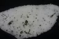 Mirá las fotos más impactantes del granizo en Tucumán