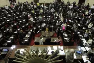 Diputados aprobó la prohibición de las carreras de galgos en todo el país