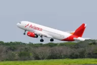 Avianca solicitará en marzo de 2017 las rutas aéreas desde y hacia Tucumán