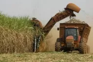 Presentarán un libro que expondrá la incidencia del campo en Tucumán