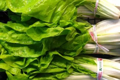 Del campo a la góndola: el precio subió seis veces