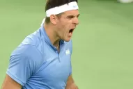 Gran festejo argentino: Del Potro venció a Karlovic y empató la final