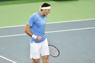 Del Potro dio vuelta el partido y Argentina está a un punto de llevarse la Copa Davis
