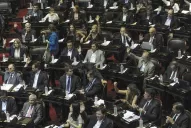 La Cámara de Diputados aprobó con amplio consenso la Emergencia Social