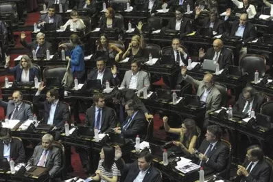 La Cámara de Diputados aprobó con amplio consenso la Emergencia Social