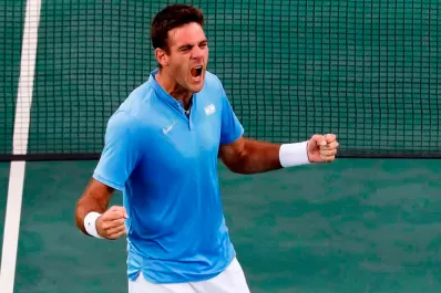 Según L'Equipe, Del Potro disputó los dos mejores partidos de 2016