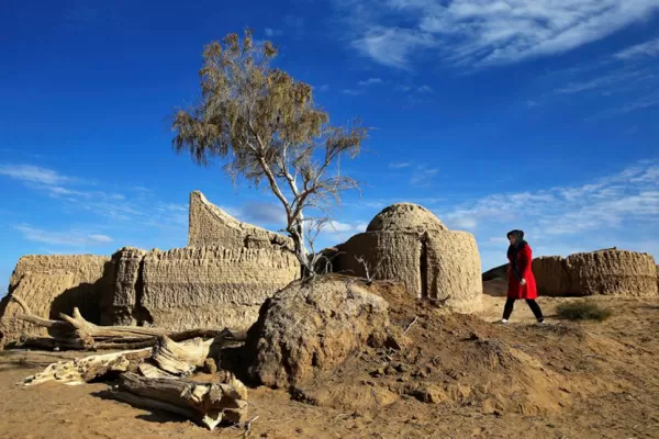 Un violador se casará con su víctima para evitar que lo ejecuten