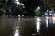 Un policía salvó a una familia de turistas que casi se ahoga en el puente Central Córdoba