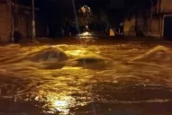 Cuáles fueron los lugares más afectados en la provincia por la intensa lluvia