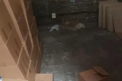 Seguirá la pelea por los “gastos sociales”