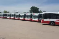 Los colectivos de la empresa Leagas salen a la calle para cubrir el recorrido de la línea 11