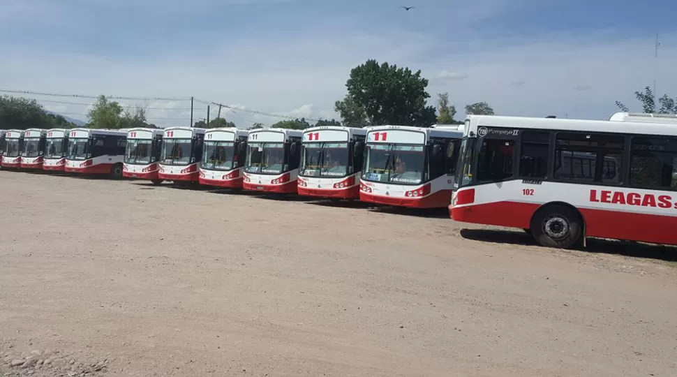 Los nuevos micros de Leagas. FOTO ENVIADA POR LA MUNICIPALIDAD CAPITALINA. 