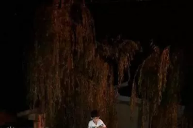 El acusado de matar a Paulina volvió a su casa