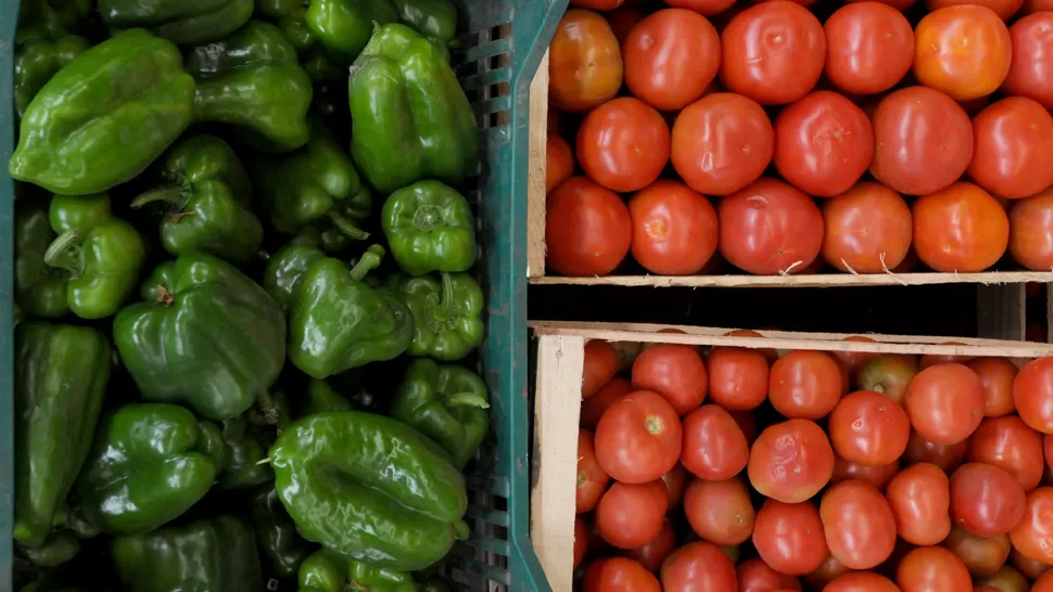 
HIGIENE AL MÁXIMO. Lavá todas las frutas y verduras, si es posible con unas gotas de lavandina. ARCHIVO LA GACETA / FOTO DE ANALÍA JARAMILLO