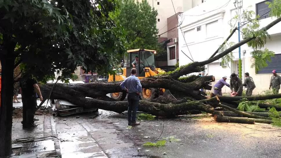 Operativo para limpiar la zona. FOTO DE ANA DANERI. 