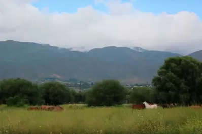 Video: las cabalgatas llevan a los paraísos escondidos de Tafí del Valle