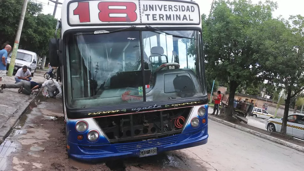 FOTOS ENVIADAS AL WHATSAPP DE LA GACETA