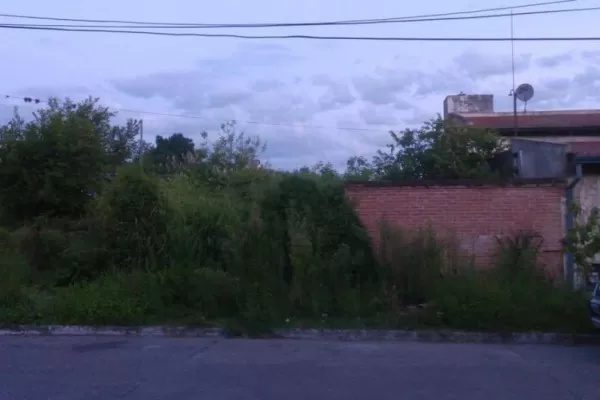 Baldíos, focos contra la salud y la seguridad