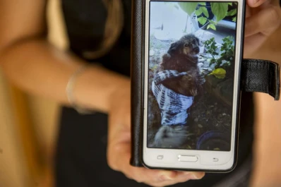 Piden que no liberen al torturador de perros