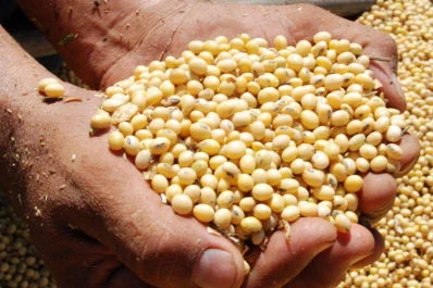 Si la demanda de granos vuelve a enfocarse en EEUU pueden aumentar los precios