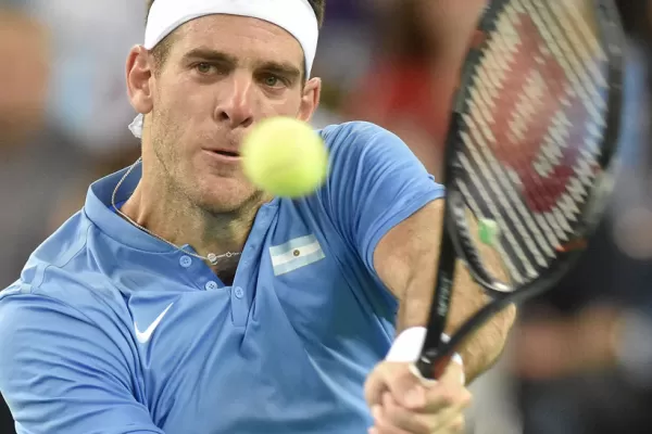 Del Potro alcanzó su ránking más alto desde que regresó al circuito