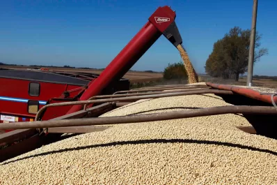 El Gobierno otorgará $1.000 millones en subsidios a los productores de soja del NOA