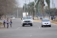 La Perón: los orígenes de la avenida de las palmeras