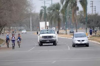 La Perón: los orígenes de la avenida de las palmeras