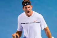 Del Potro superó a Querrey para meterse en las semifinales de Delray Beach