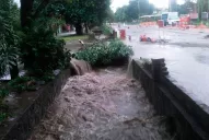 Árboles caídos, barrios anegados y accesos cortados en distintos puntos de la provincia, por la tormenta