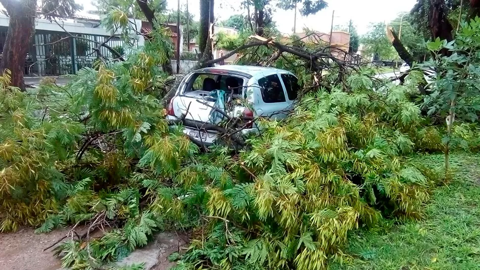 FOTO ENVIADA A TRAVÉS DE WHATSAPP