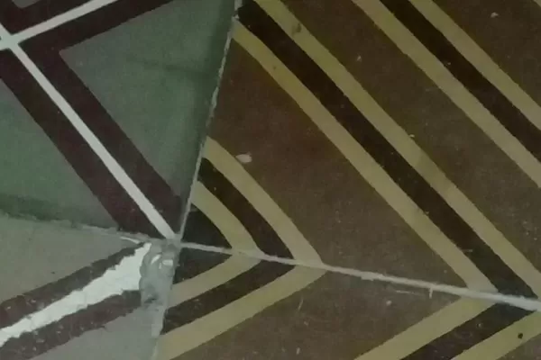 Víboras brotan de un baldío en Las Talitas