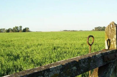 Las economías regionales están colapsadas