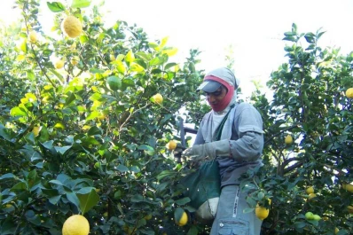 “La reforma tributaria debe  ser para todos los agricultores”