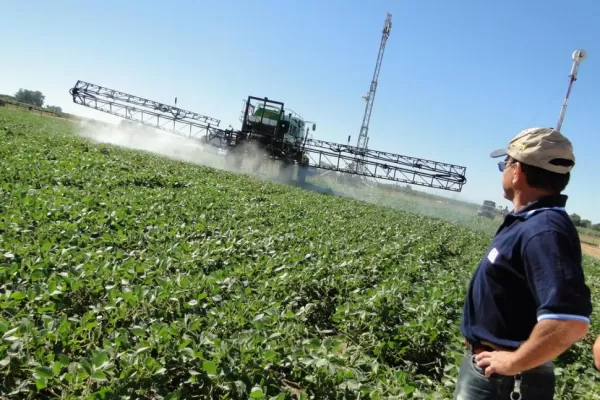 “Los impuestos nos quitan competitividad”