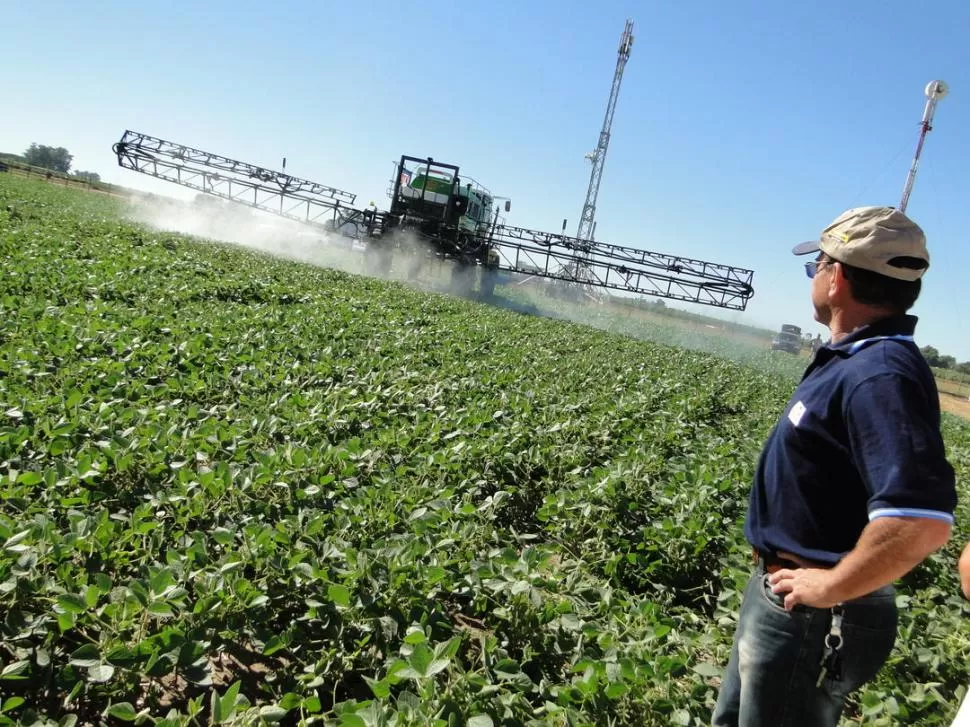 MÁS GASTOS. El uso de productos químicos implica el pago de una carga tributaria, sobre la que el agricultor espera que hayas modificaciones en su cálculo. 