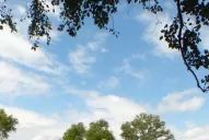 Lo que faltaba: se hundió la excavadora