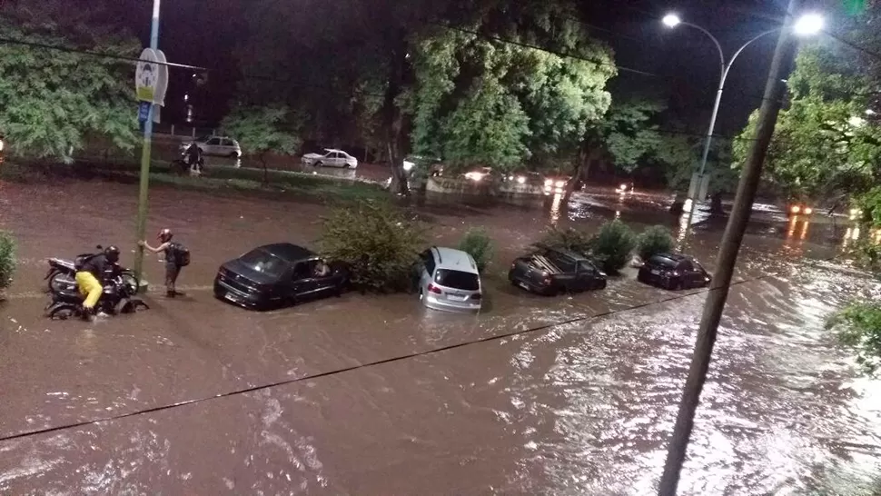 CAOS. Los autos sufrieron las consecuencias de las calles anegadas en la zona del parque 9 de Julio. FOTO ENVIADA A TRAVÉS DE WHATSAPP