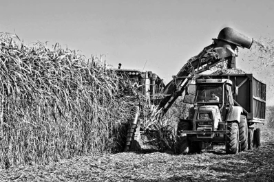 En el INTA Famaillá determinan el impacto que tiene la producción de caña de azúcar en el calentamie