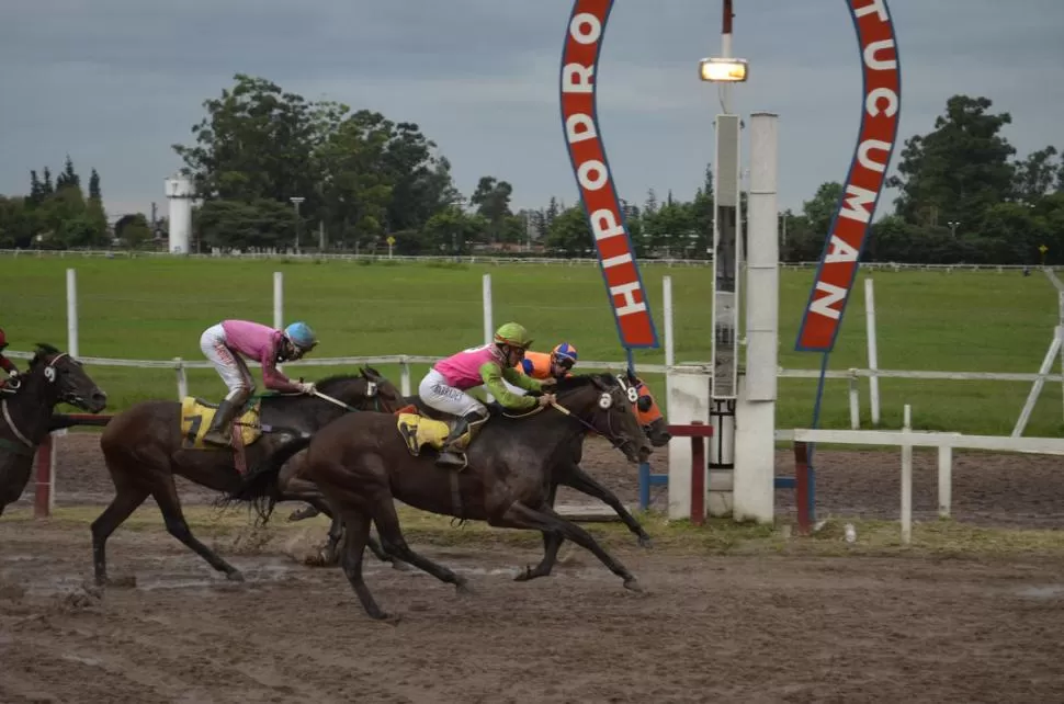 FINAL DE BANDERA VERDE. Sir Melody (6) apareció con mucha fuerza en los últimos metros para vencer a Boston Park (8). foto Jorge Correa